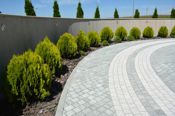 Best Professional Driveway Pavers  in Selma, CA